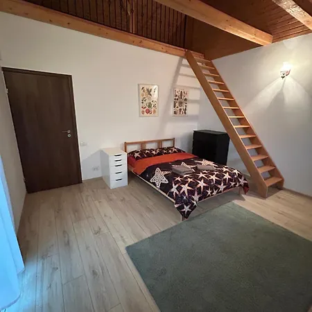 公寓 Villa Apartments 克拉奥华